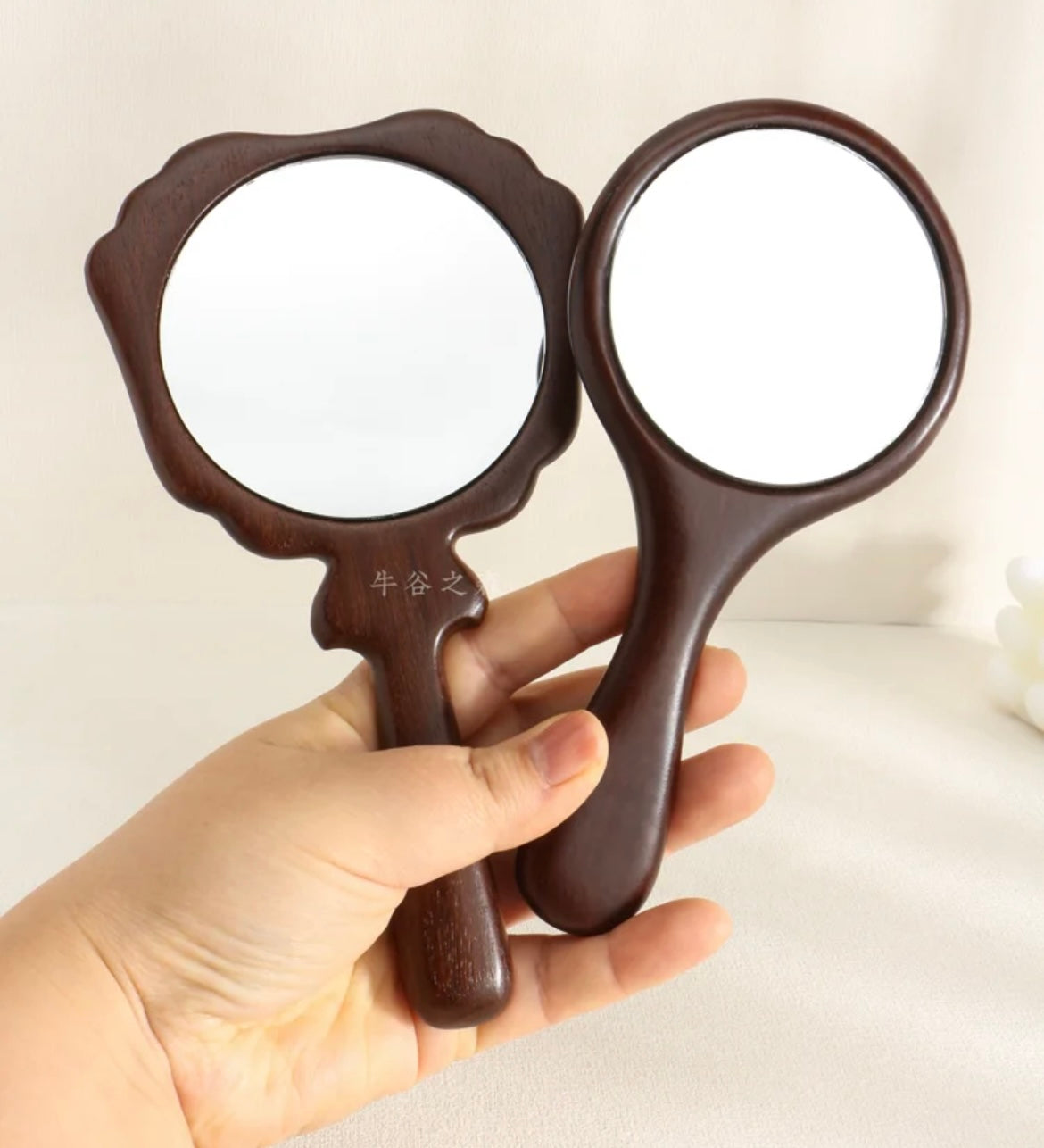 $19.99 Mirror